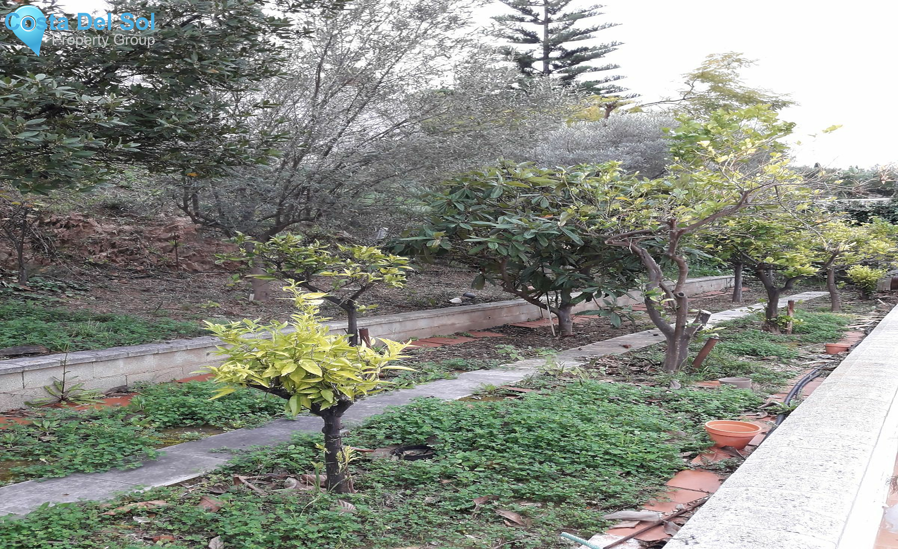 Detached Villa in Cerros del Aguila-1196620