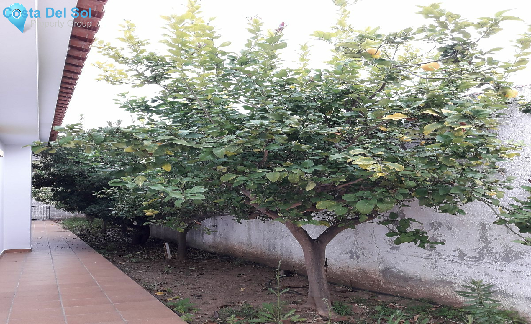 Detached Villa in Cerros del Aguila-1196621