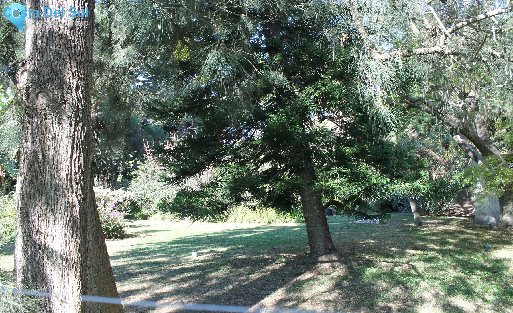 Detached Villa in Elviria-1213799