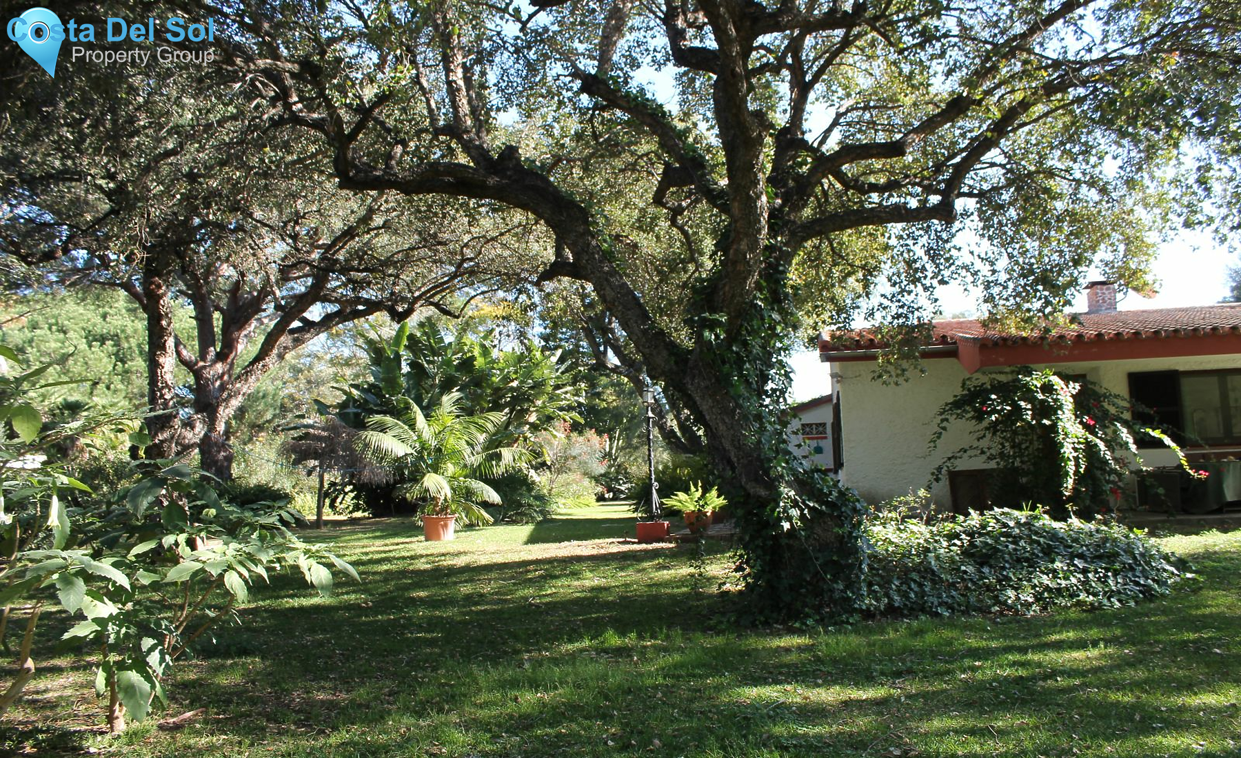 Detached Villa in Elviria-1213806