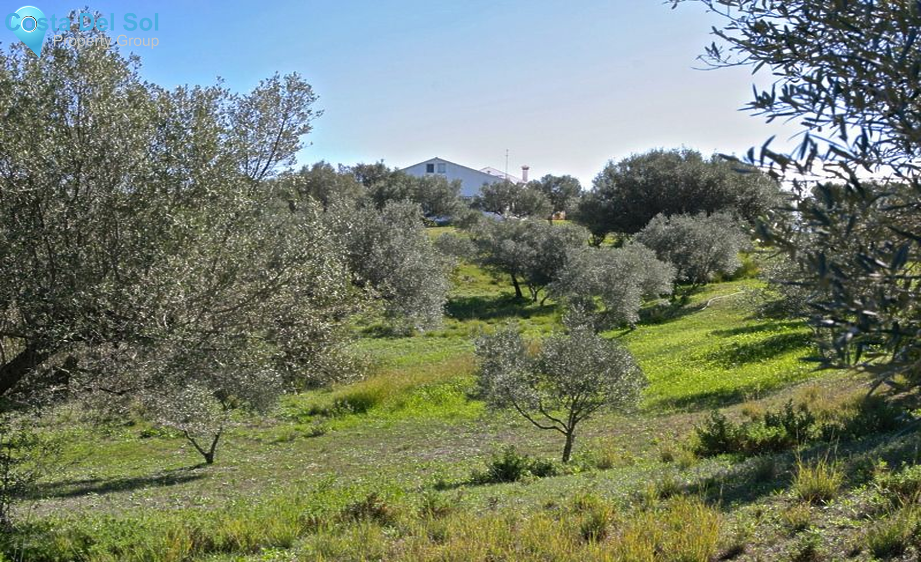 Detached Villa in Elviria-1224487