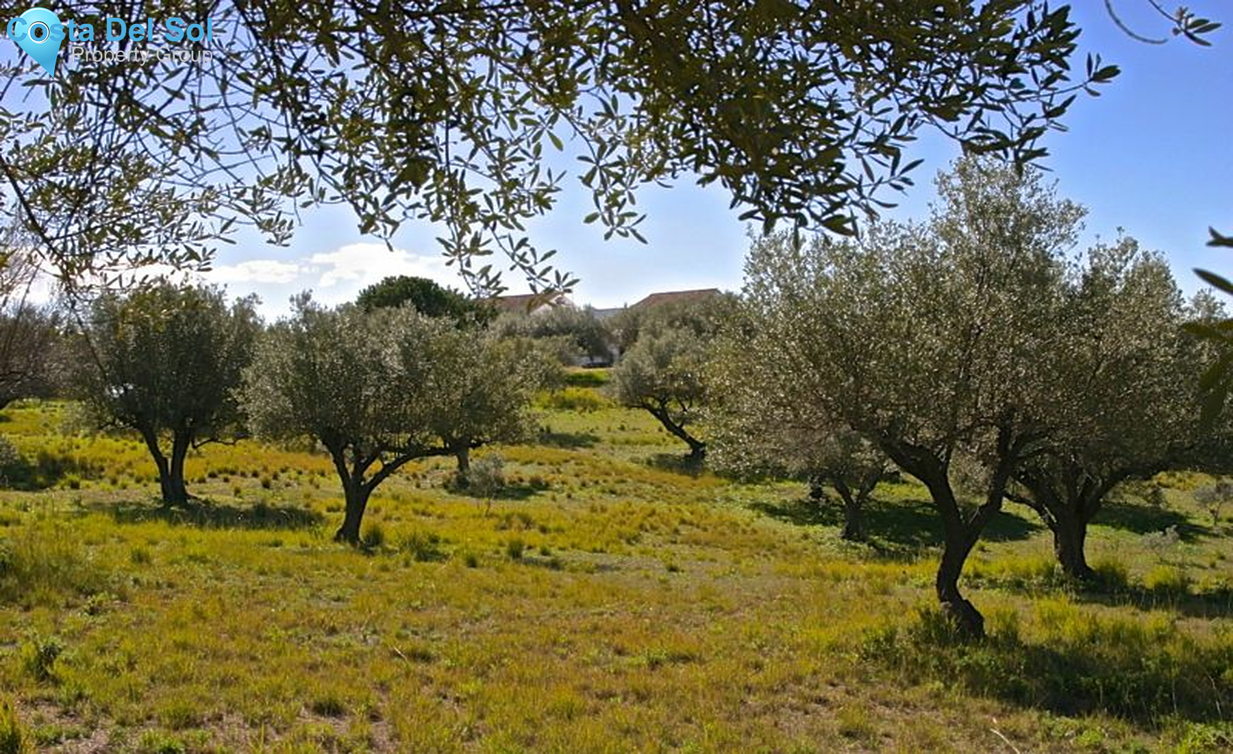 Detached Villa in Elviria-1224484