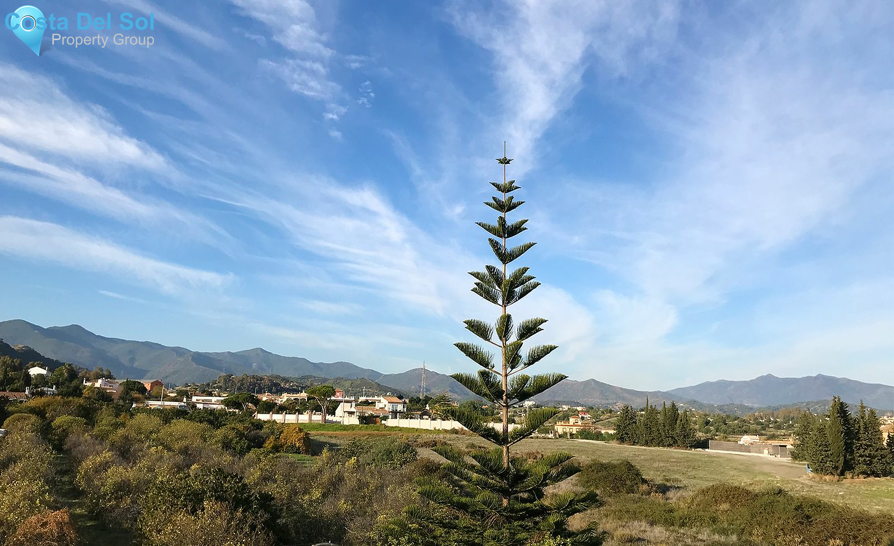 Detached Villa in Estepona-1231343