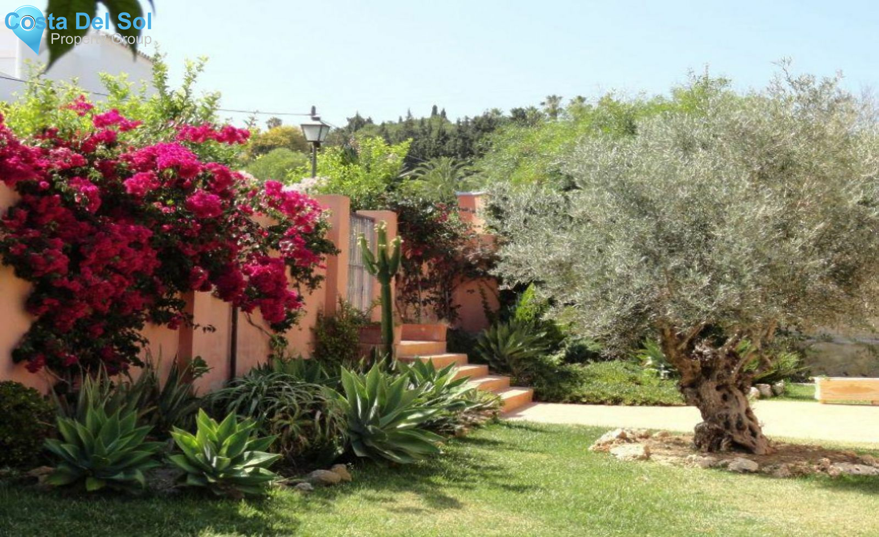 Detached Villa in Estepona-1421286