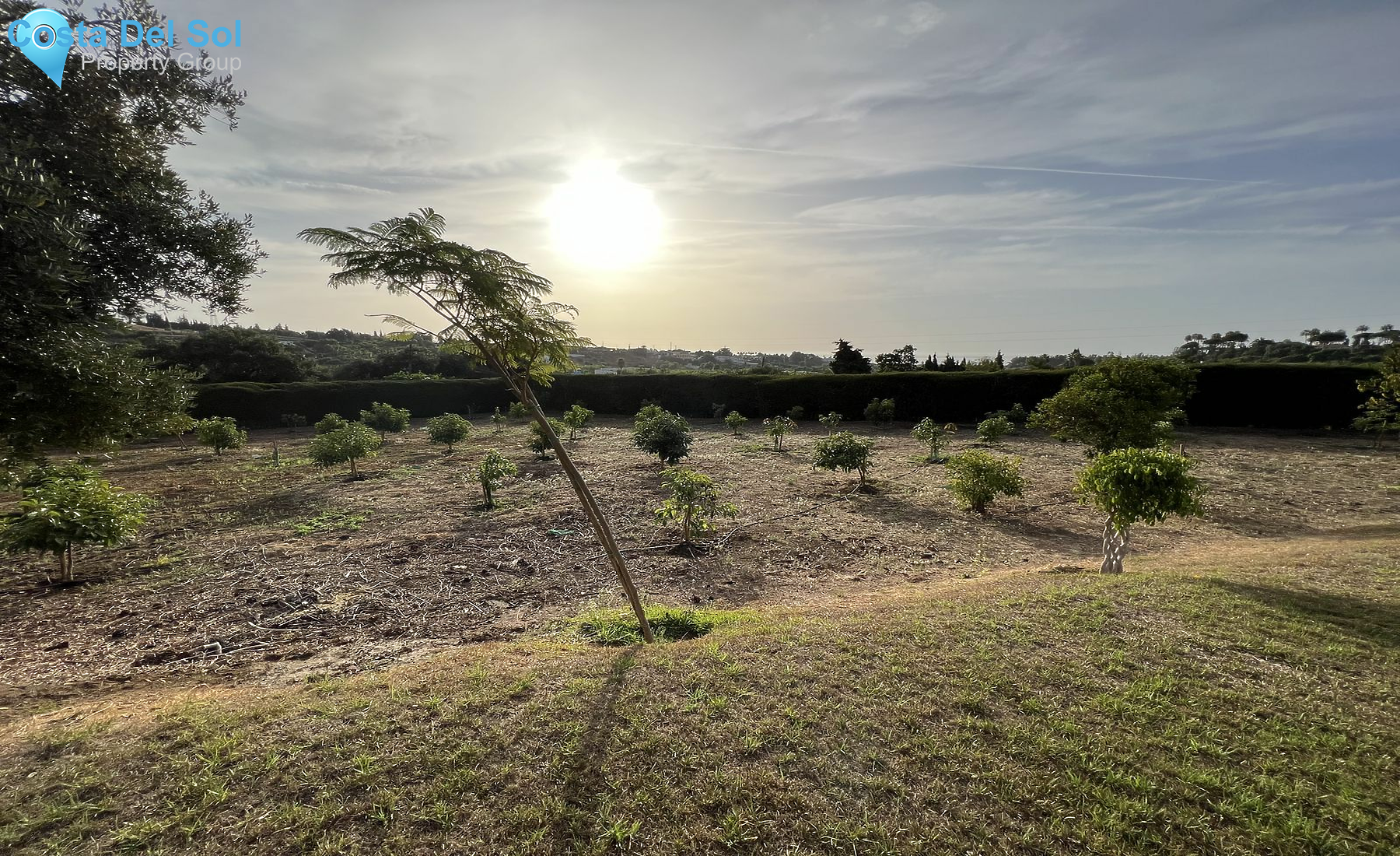 Detached Villa in Estepona-1467118
