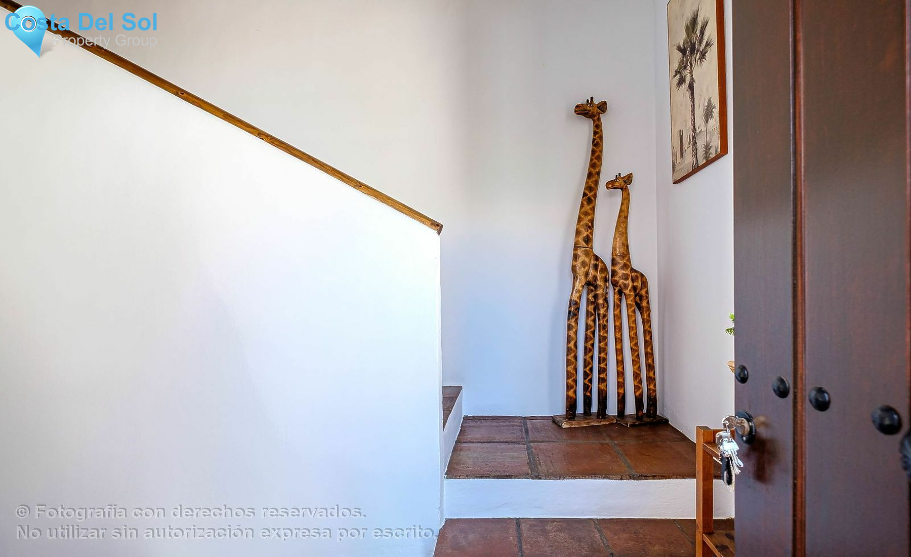 Detached Villa in Estepona-1498341