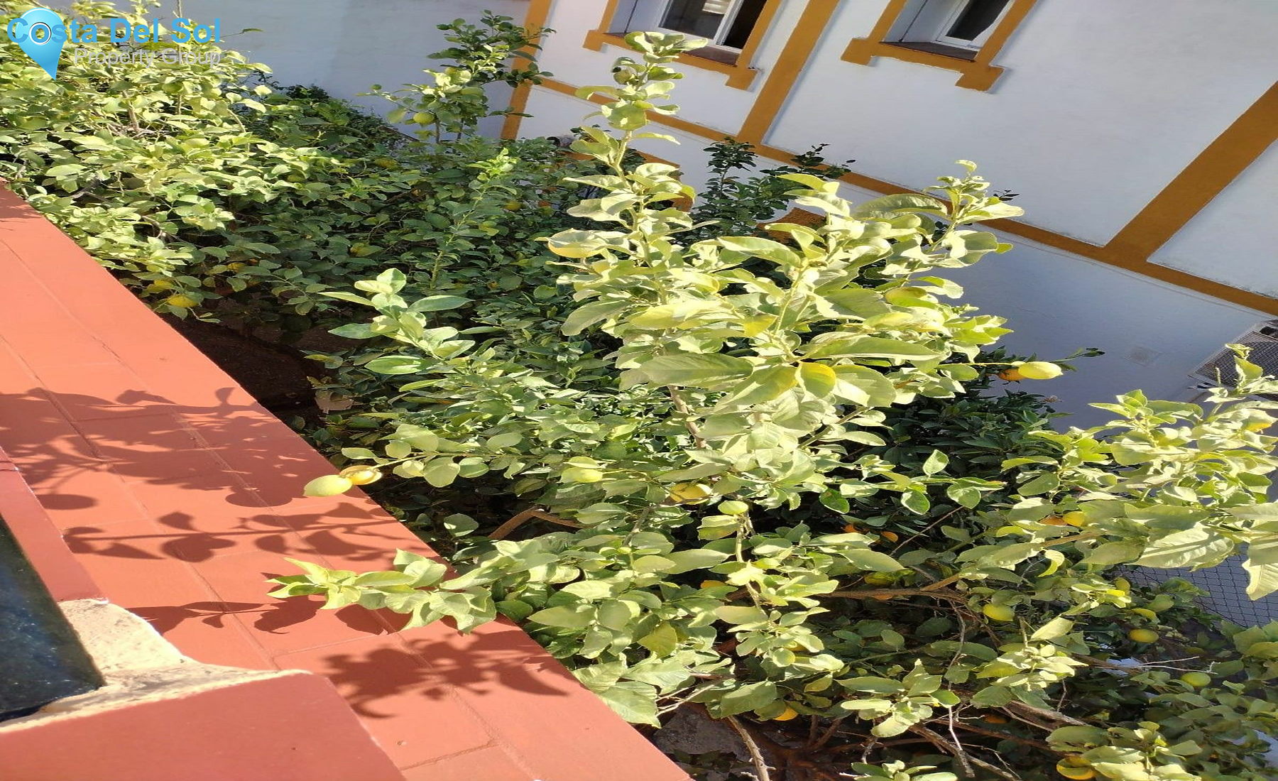 Detached Villa in Estepona-1513591
