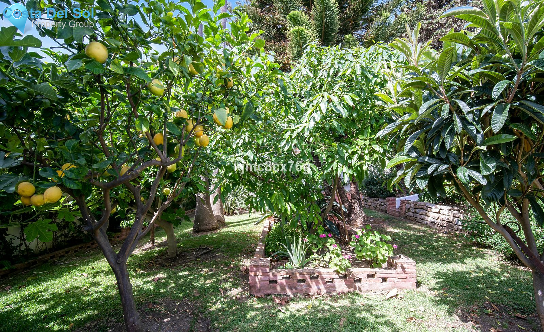 Detached Villa in Estepona-1516405