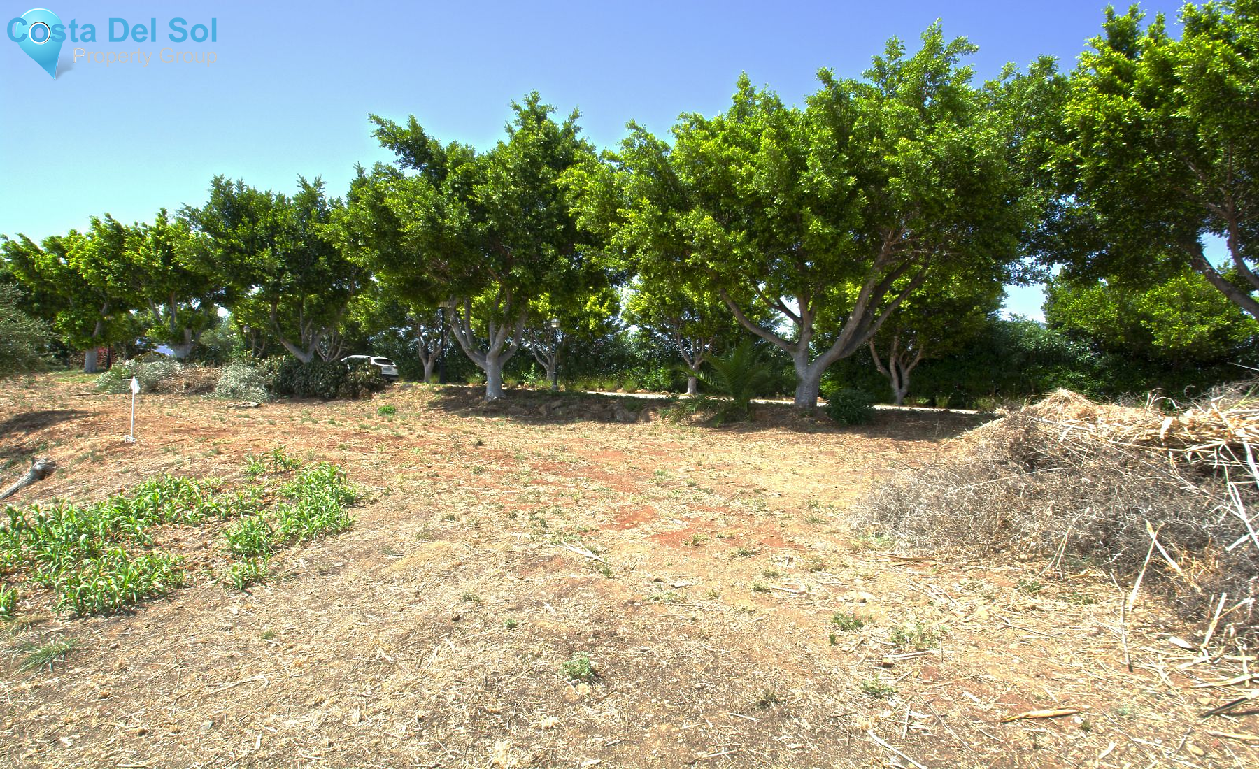 Detached Villa in La Cala Golf-1181012