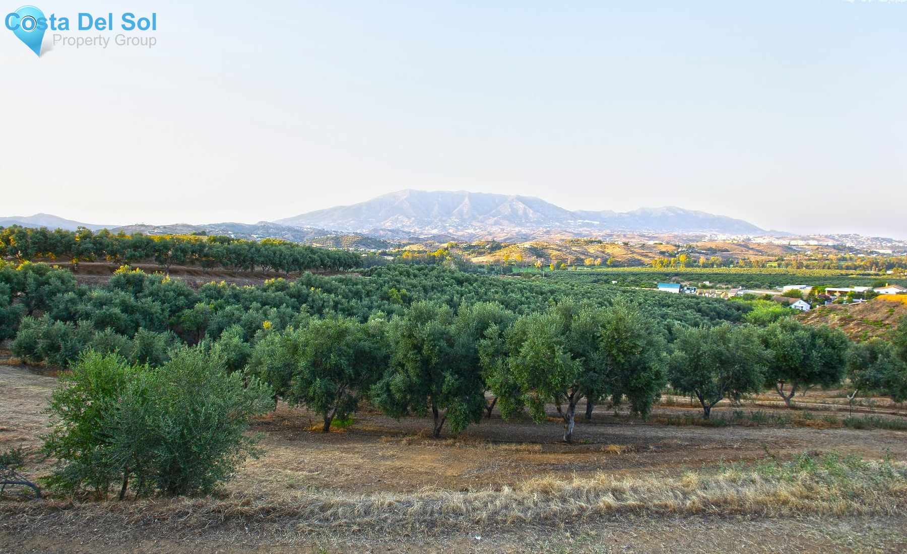 Detached Villa in La Cala Golf-1181013