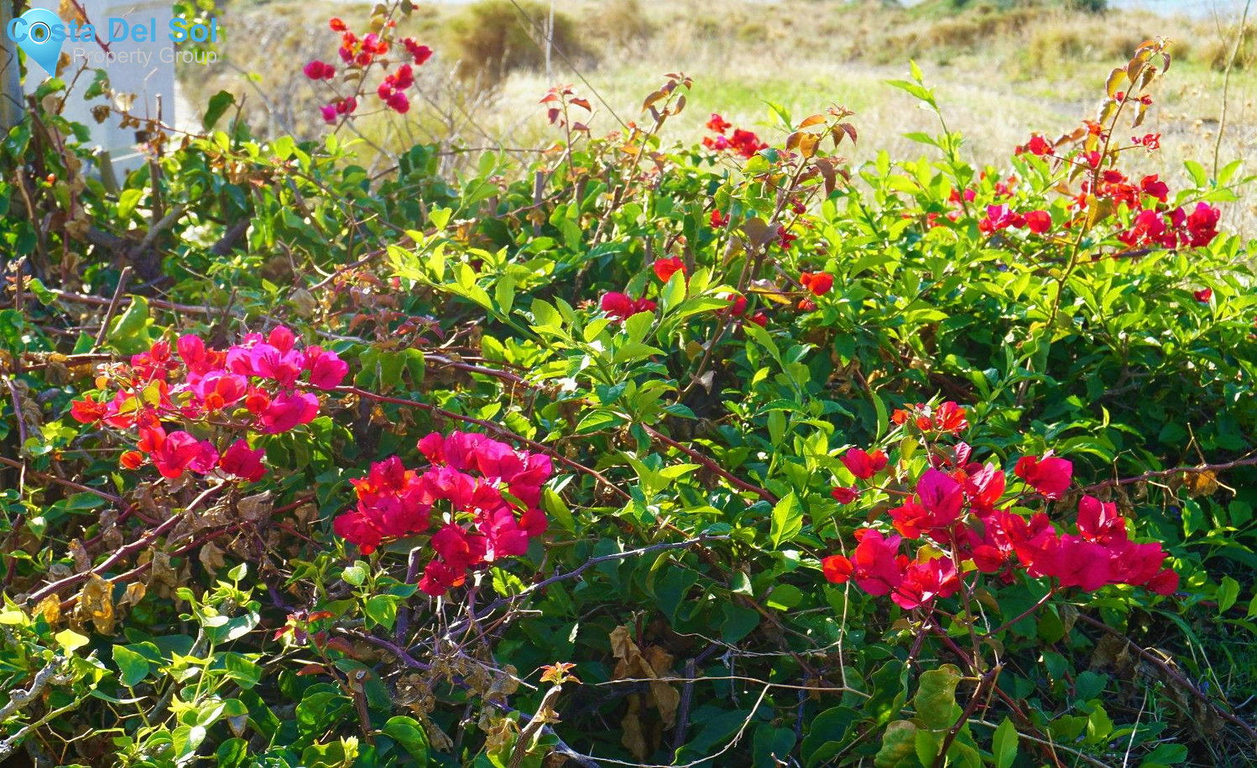 Detached Villa in Lagos-1228720