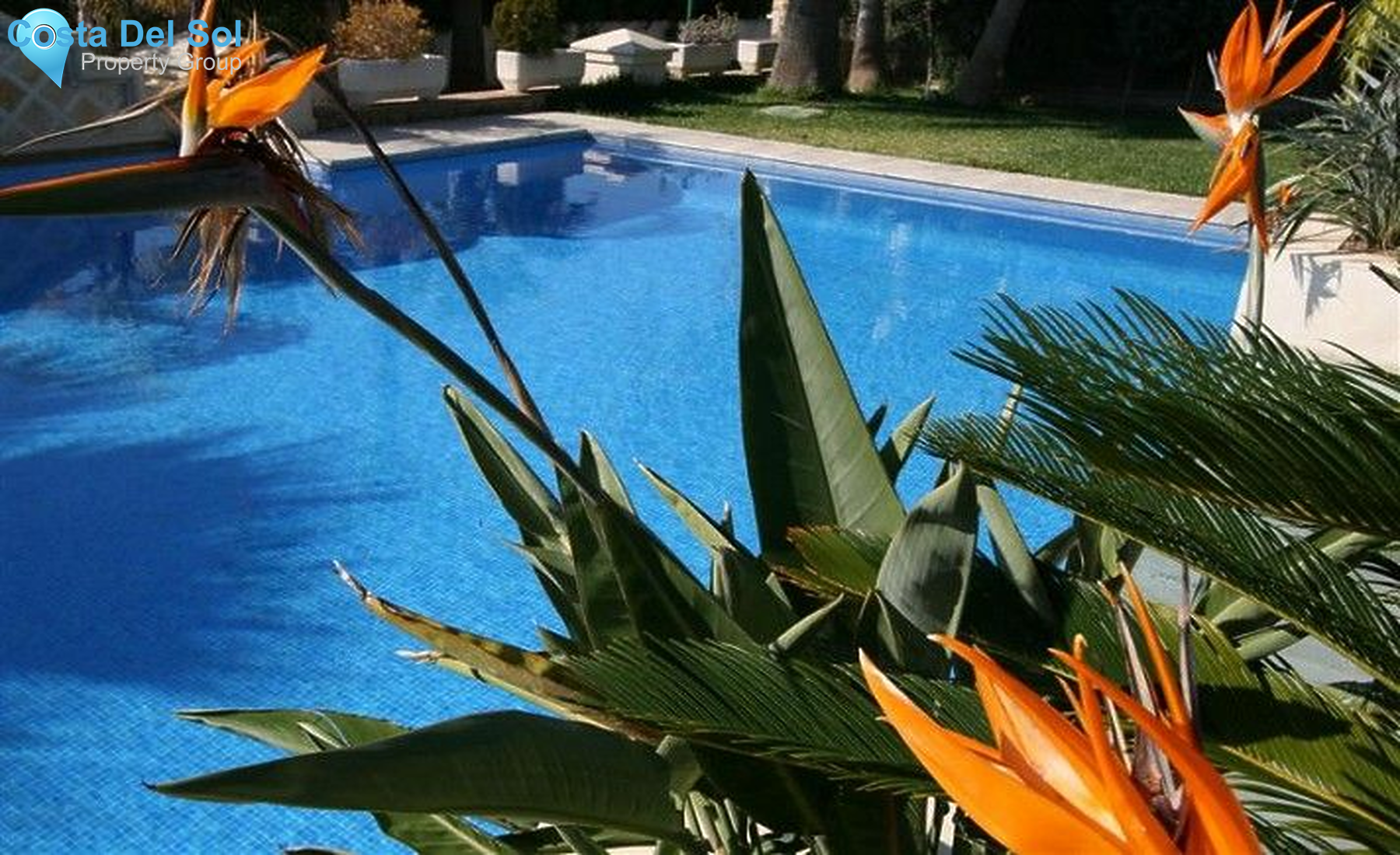 Detached Villa in Las Chapas-1215004