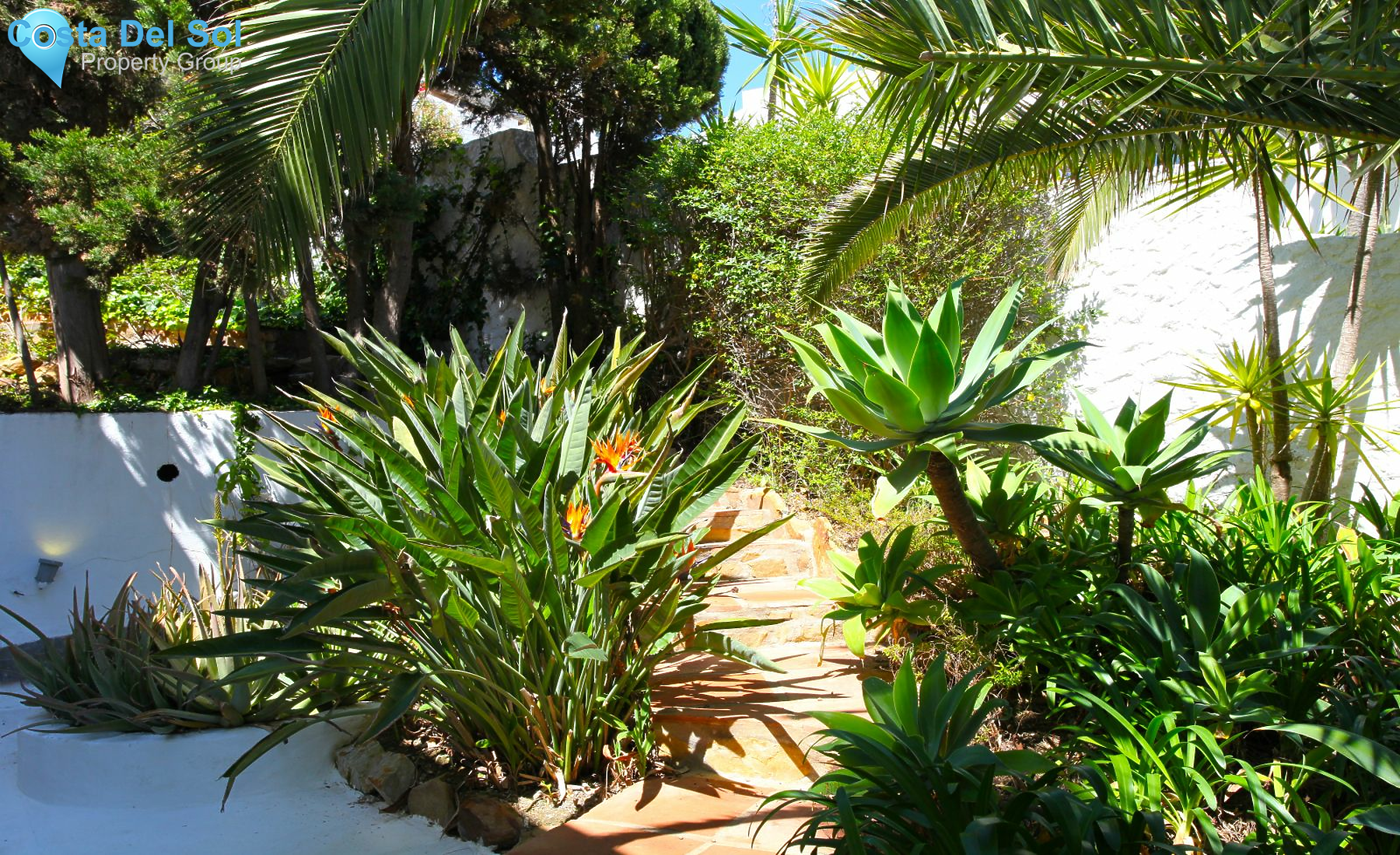 Detached Villa in Manilva-1393030