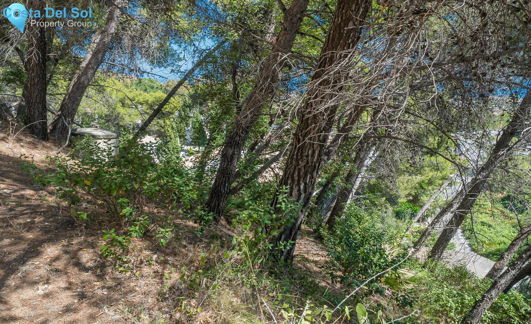 Detached Villa in Marbella-1180173