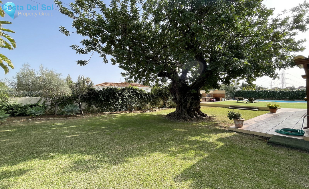 Detached Villa in Marbella-1561685