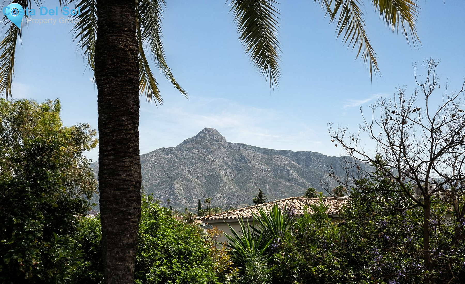 Detached Villa in Nueva Andalucía-1147476