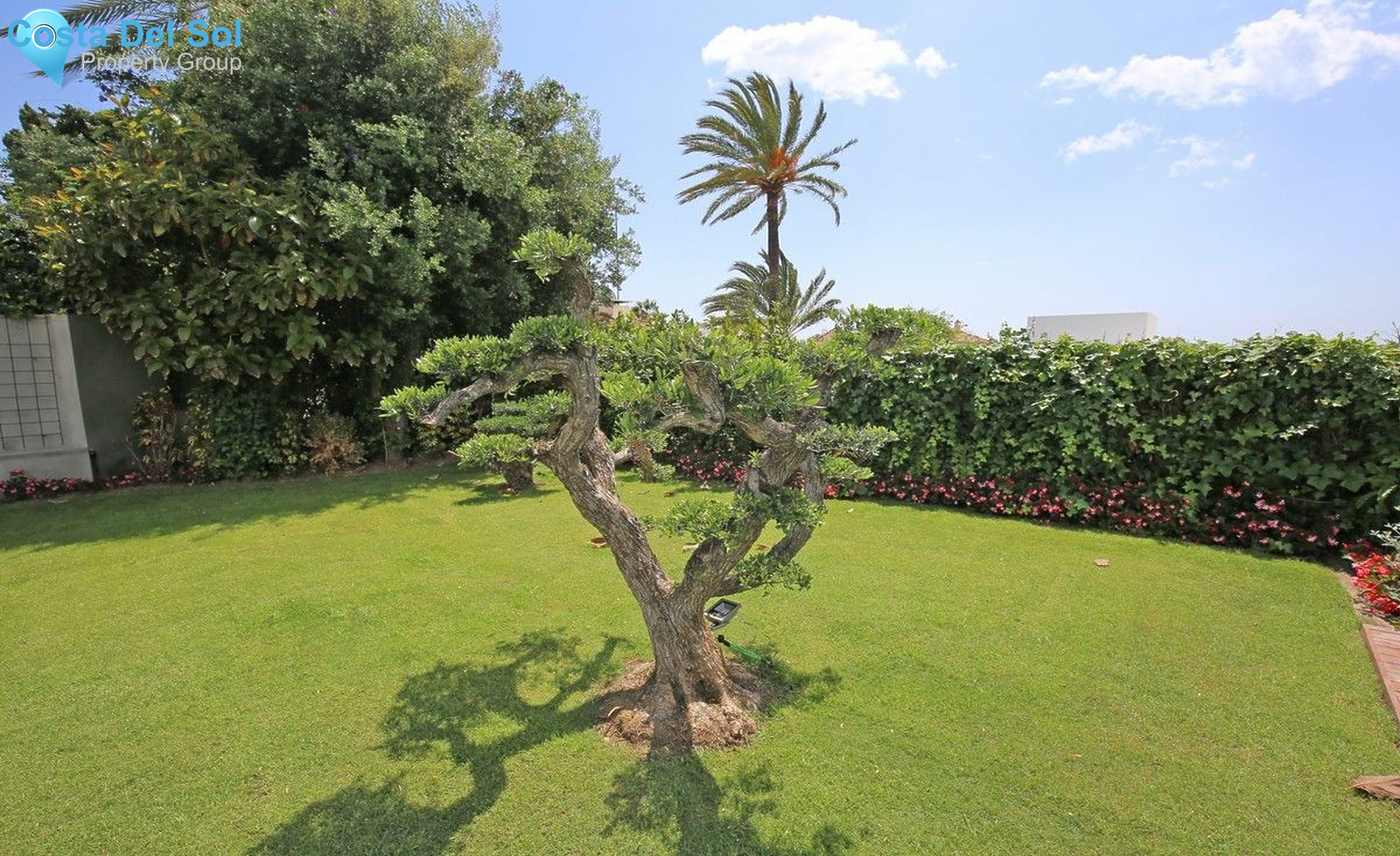 Detached Villa in Nueva Andalucía-1544504
