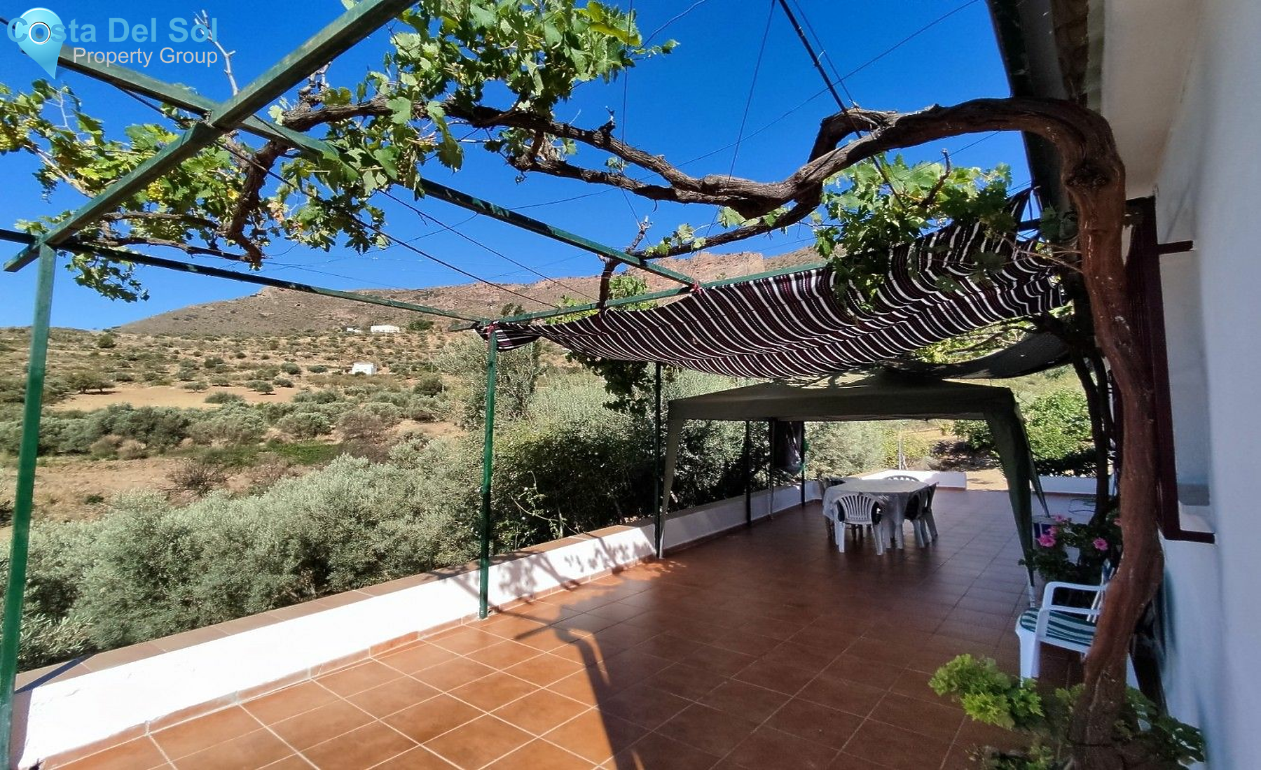 Finca - Cortijo in Alcaucín-1430841
