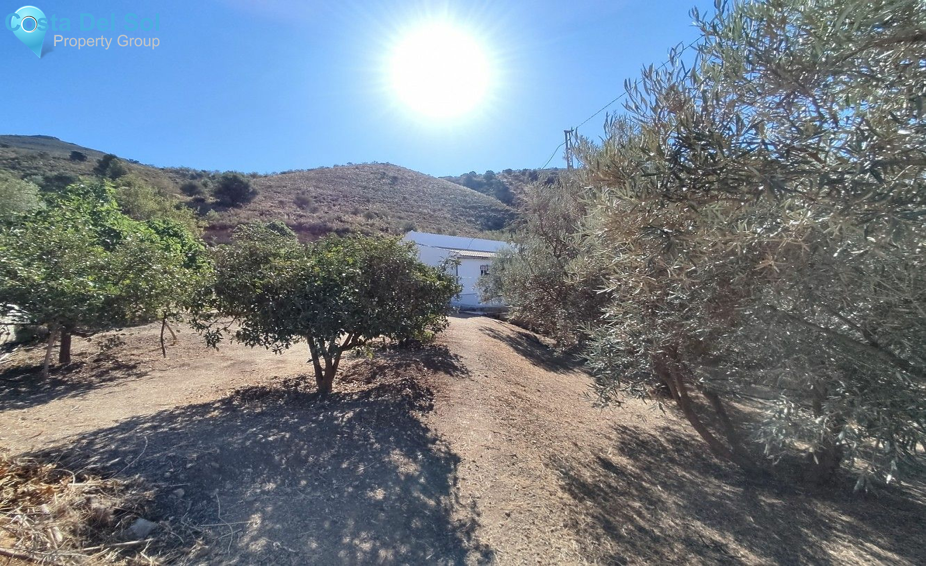 Finca - Cortijo in Alcaucín-1430833