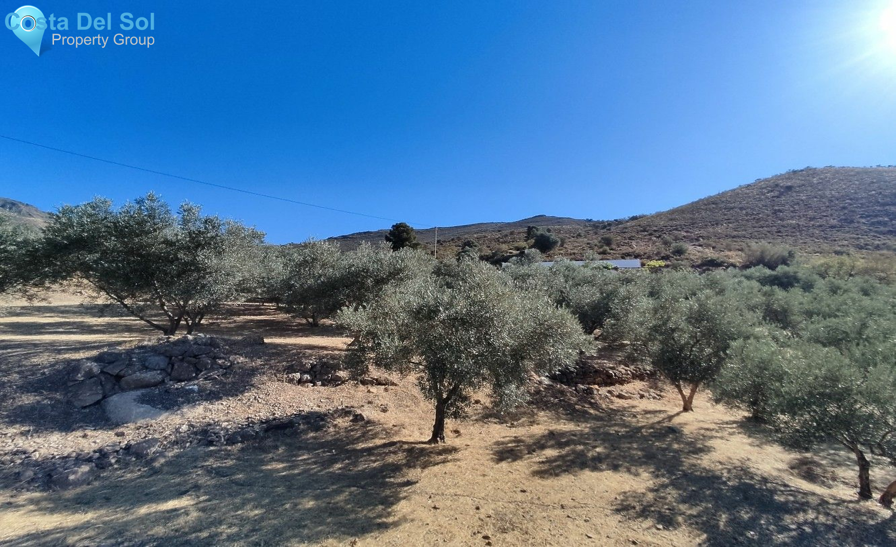 Finca - Cortijo in Alcaucín-1430836