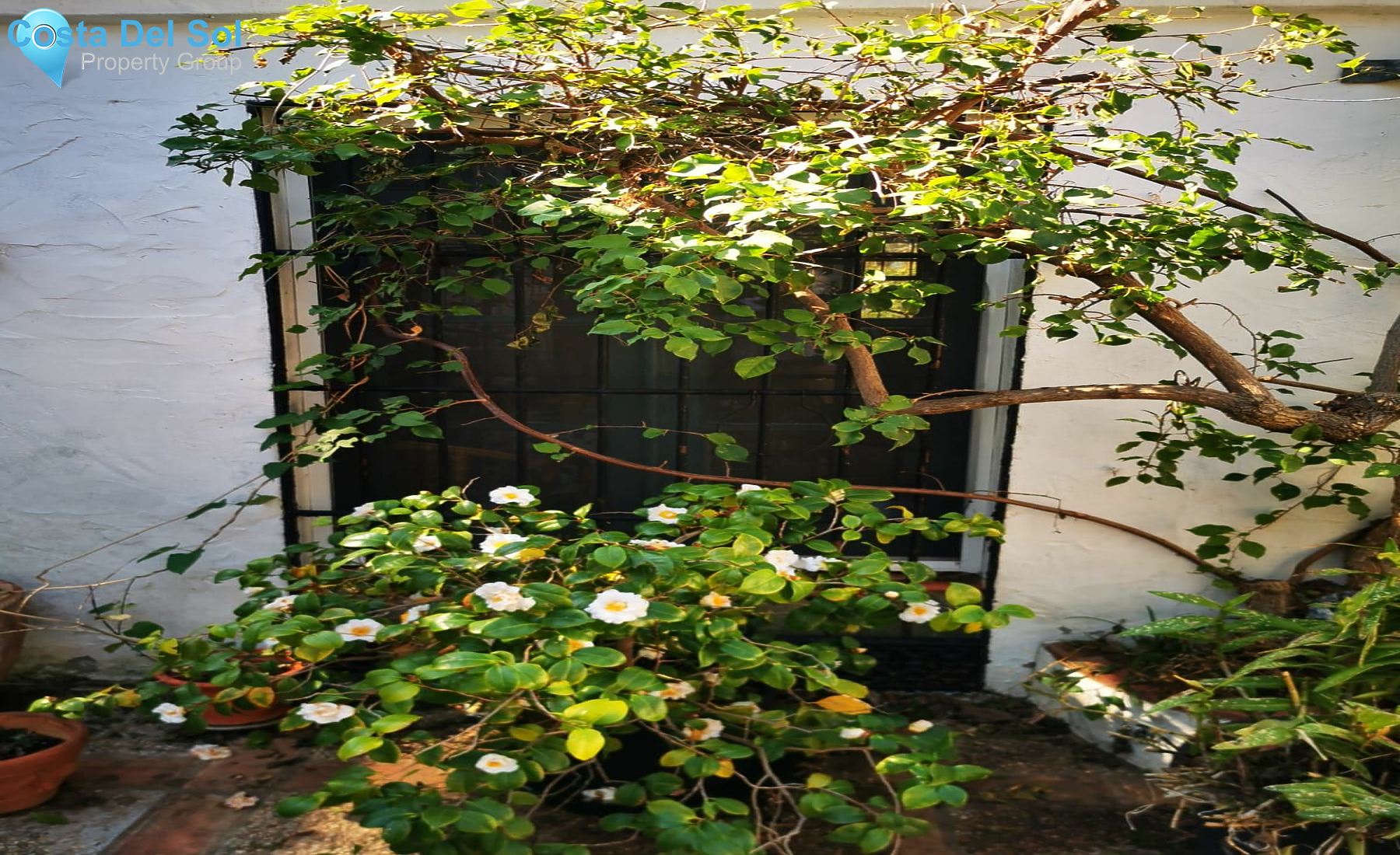 Finca - Cortijo in Alhaurín el Grande-1183080