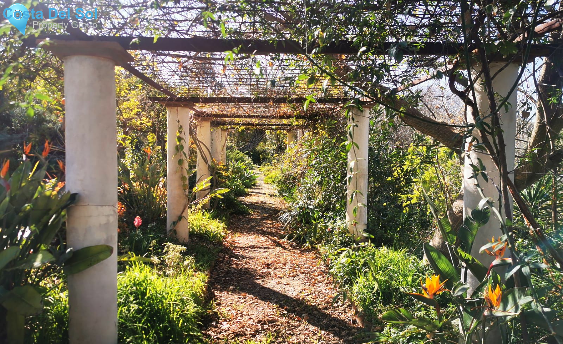 Finca - Cortijo in Alhaurín el Grande-1183082