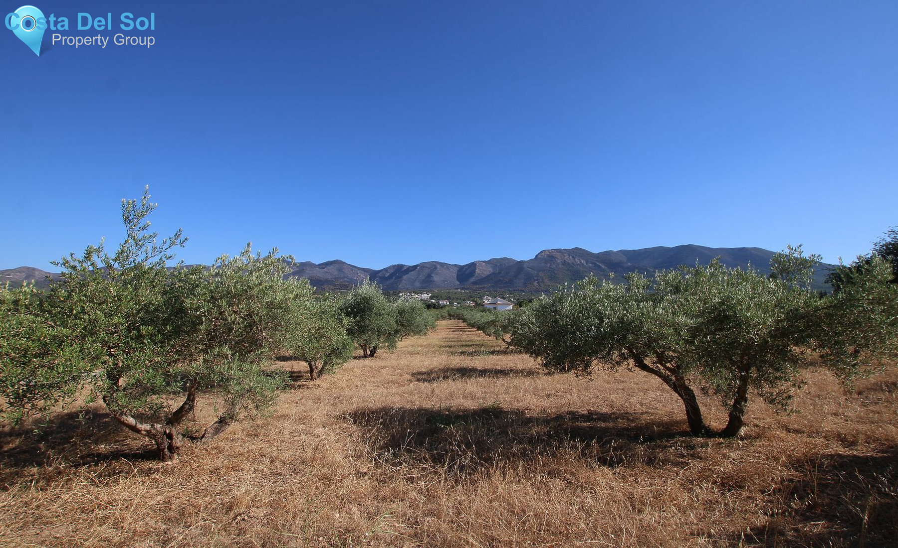 Finca - Cortijo in Alhaurín el Grande-1428712