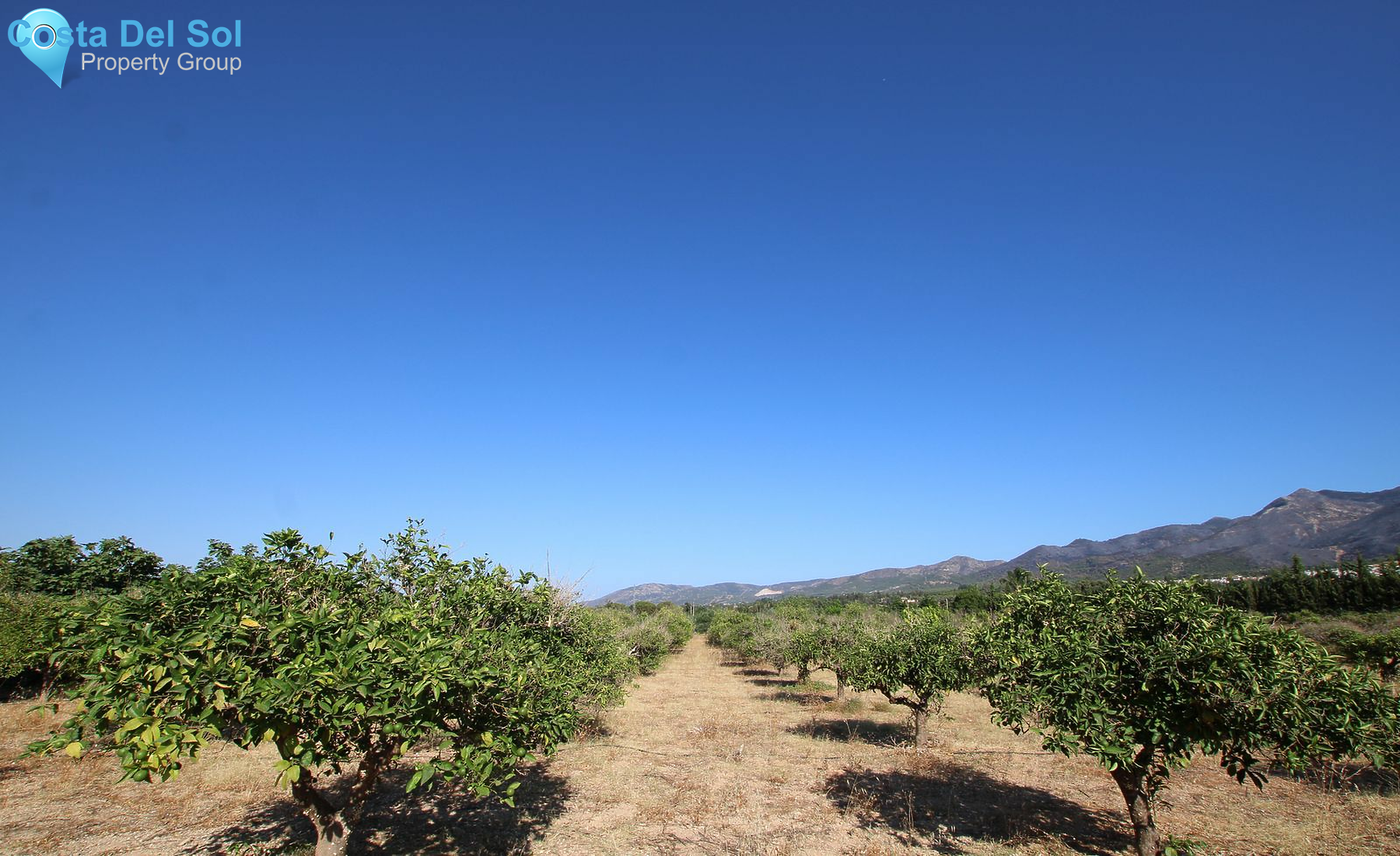 Finca - Cortijo in Alhaurín el Grande-1428715