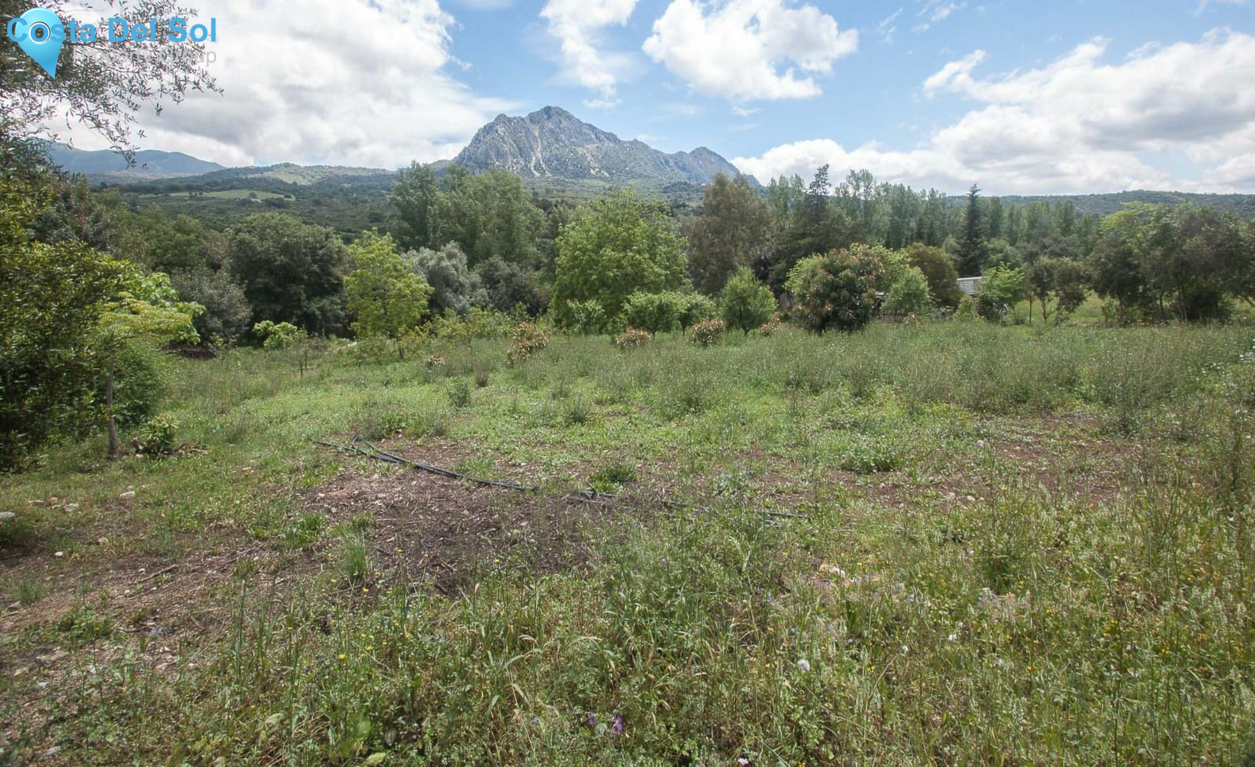 Finca - Cortijo in Casares-1143148