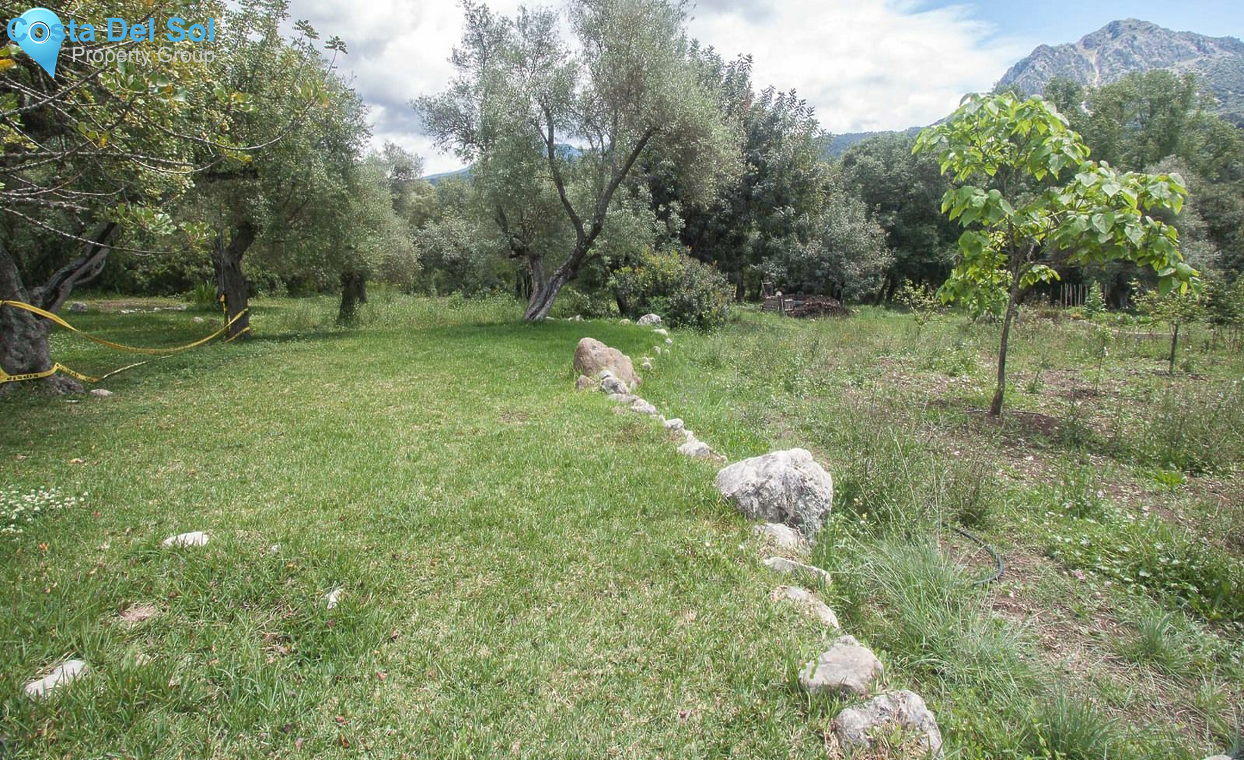 Finca - Cortijo in Casares-1143150
