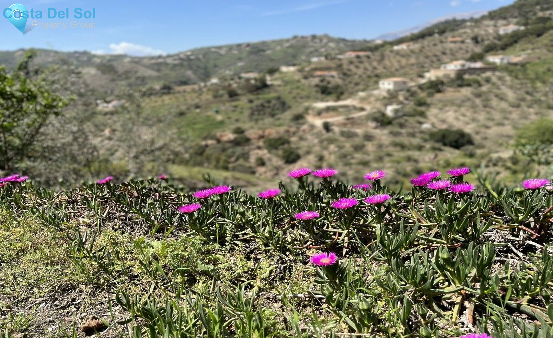 Finca - Cortijo in Cómpeta-1417653