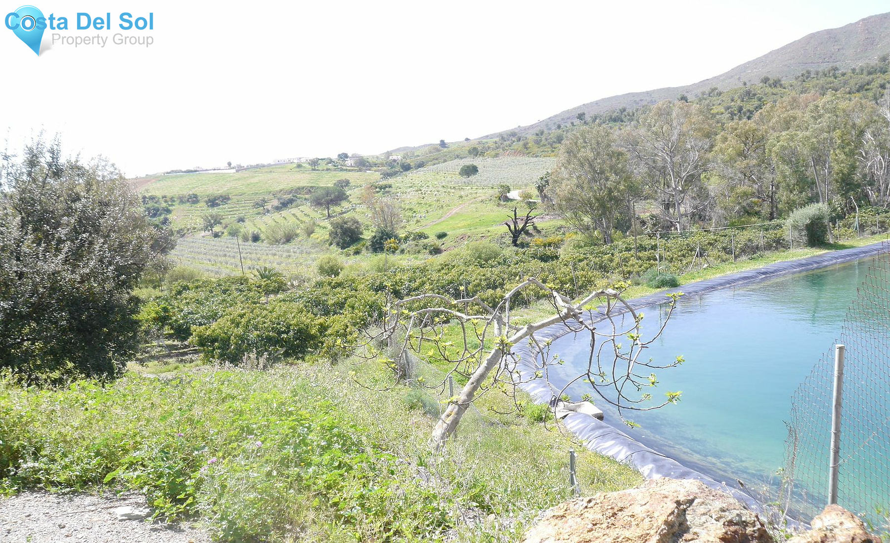 Finca - Cortijo in Entrerrios-1232989