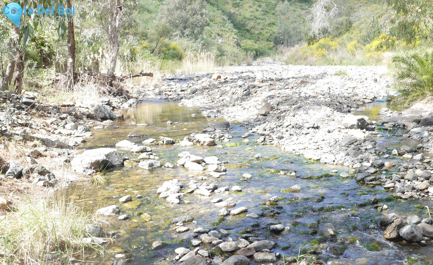 Finca - Cortijo in Entrerrios-1232998