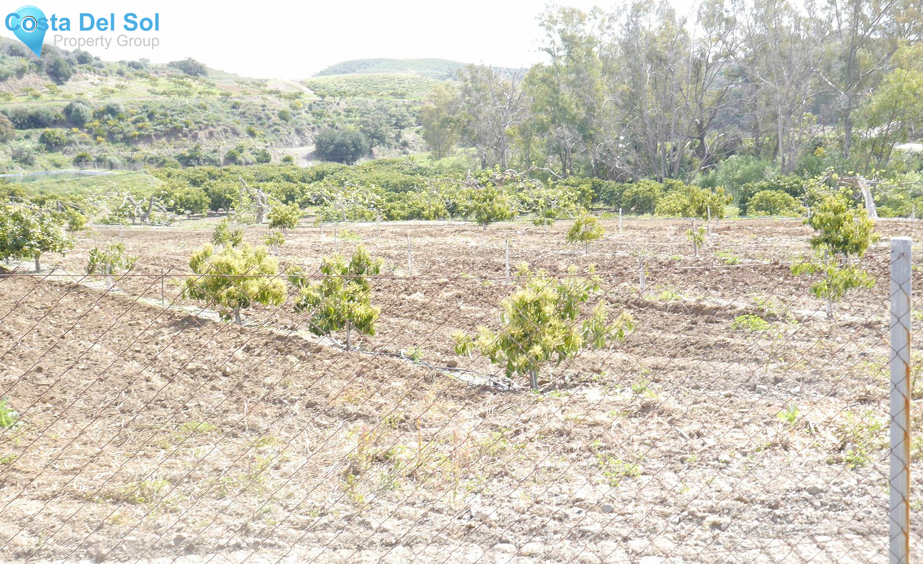 Finca - Cortijo in Entrerrios-1233000