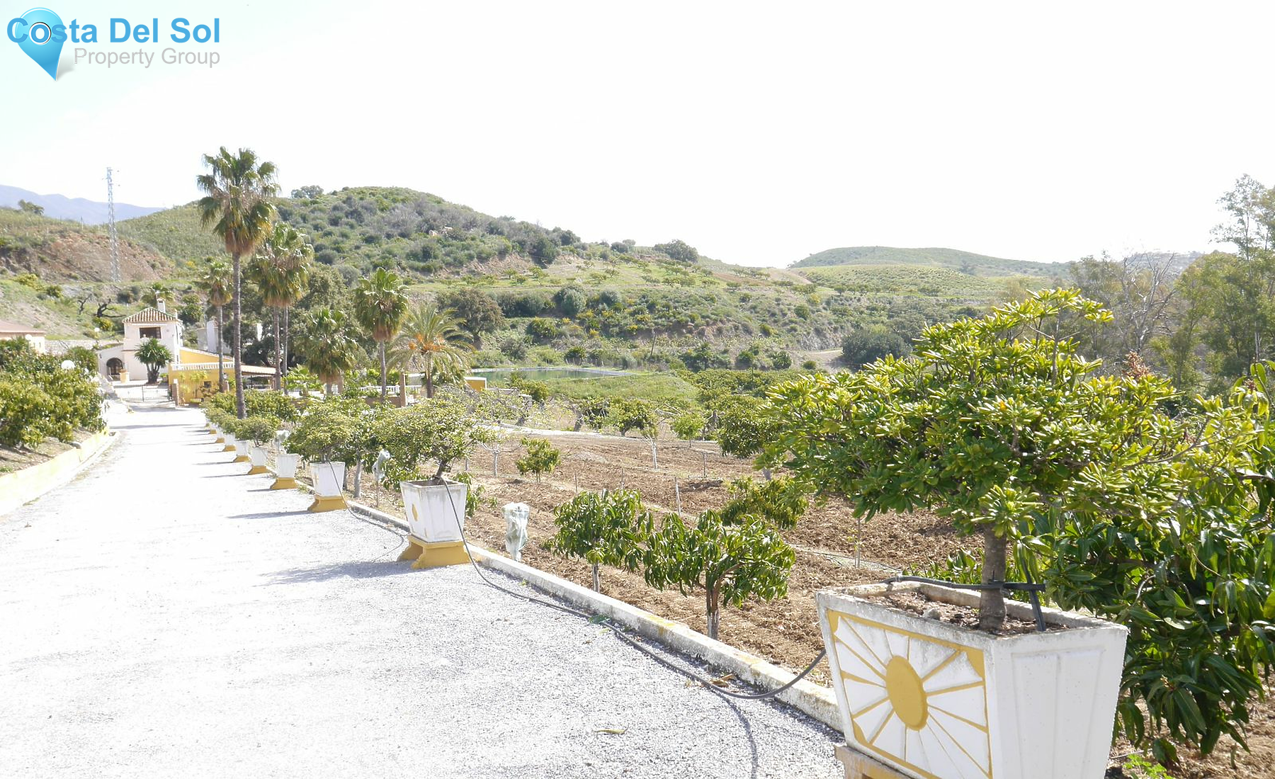 Finca - Cortijo in Entrerrios-1233001