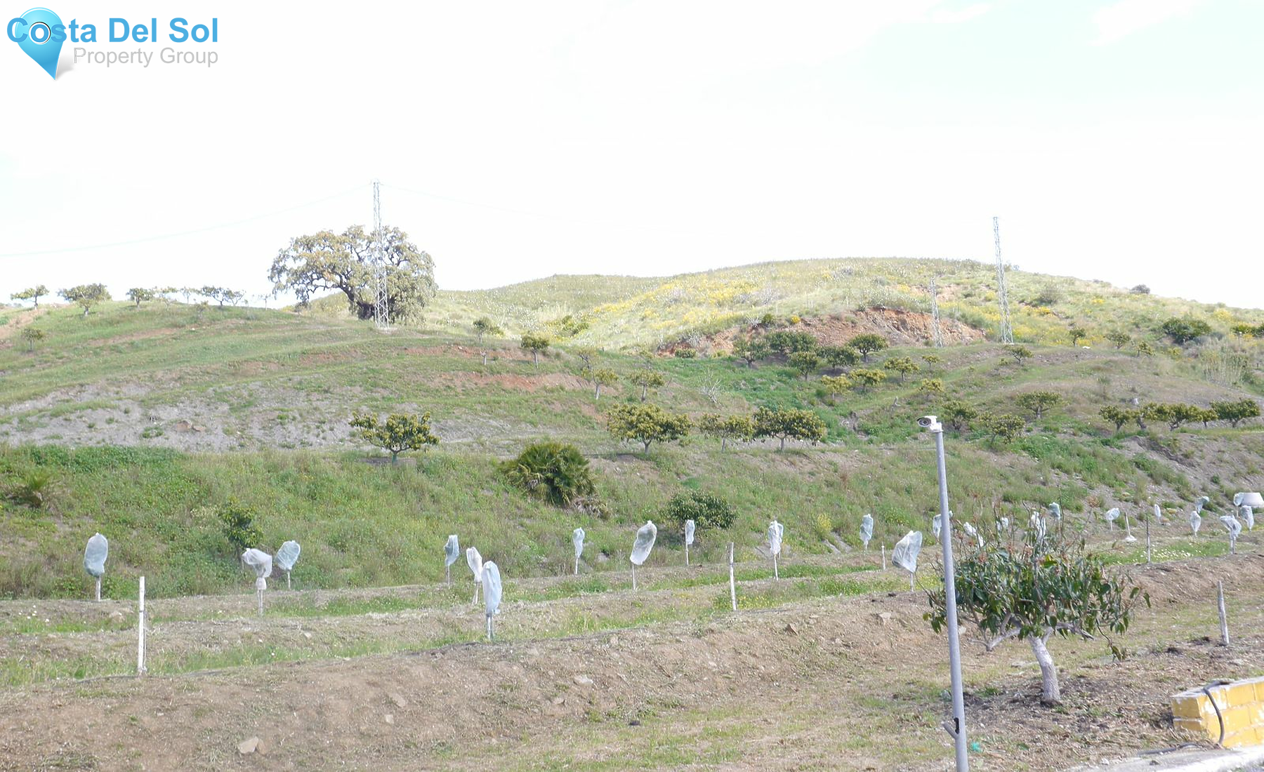 Finca - Cortijo in Entrerrios-1233004