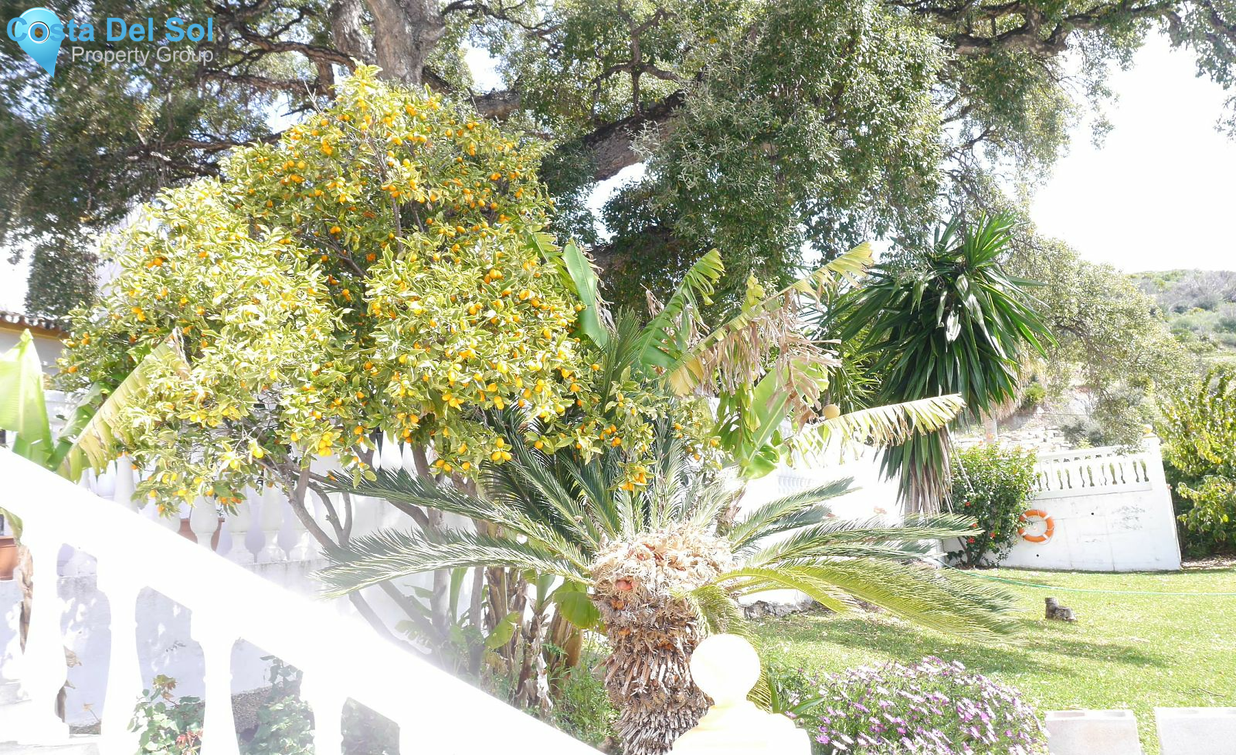 Finca - Cortijo in Entrerrios-1233007