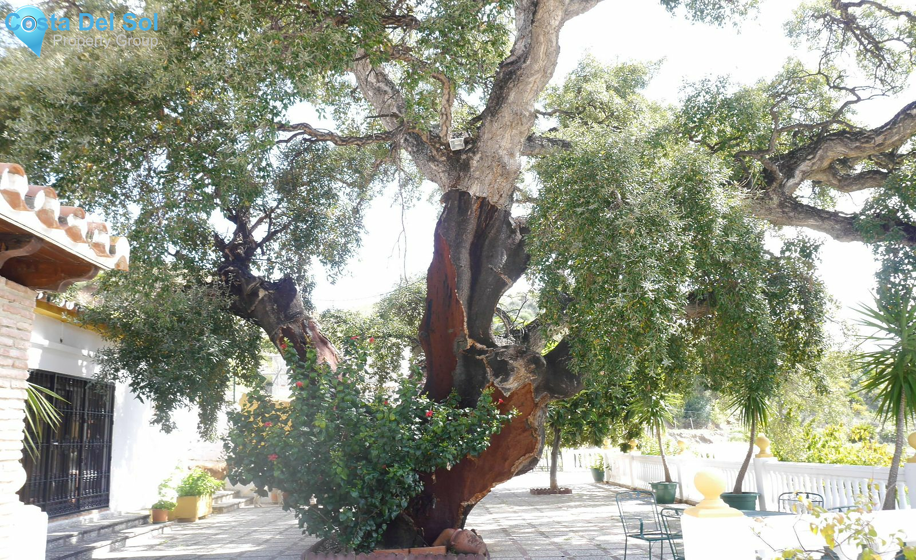 Finca - Cortijo in Entrerrios-1232992