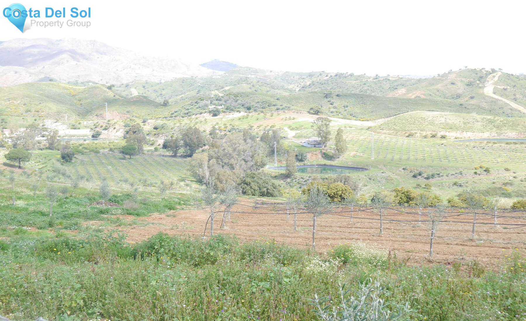 Finca - Cortijo in Entrerrios-1232993