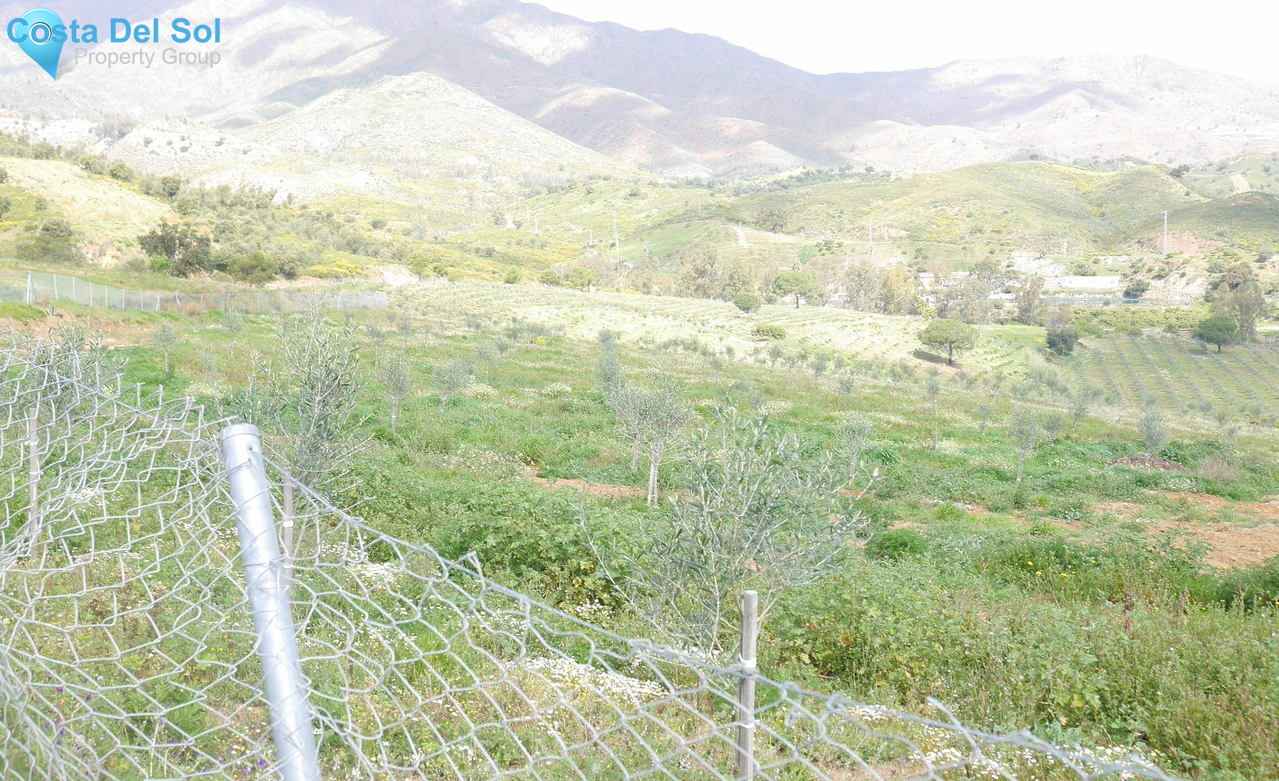 Finca - Cortijo in Entrerrios-1232994