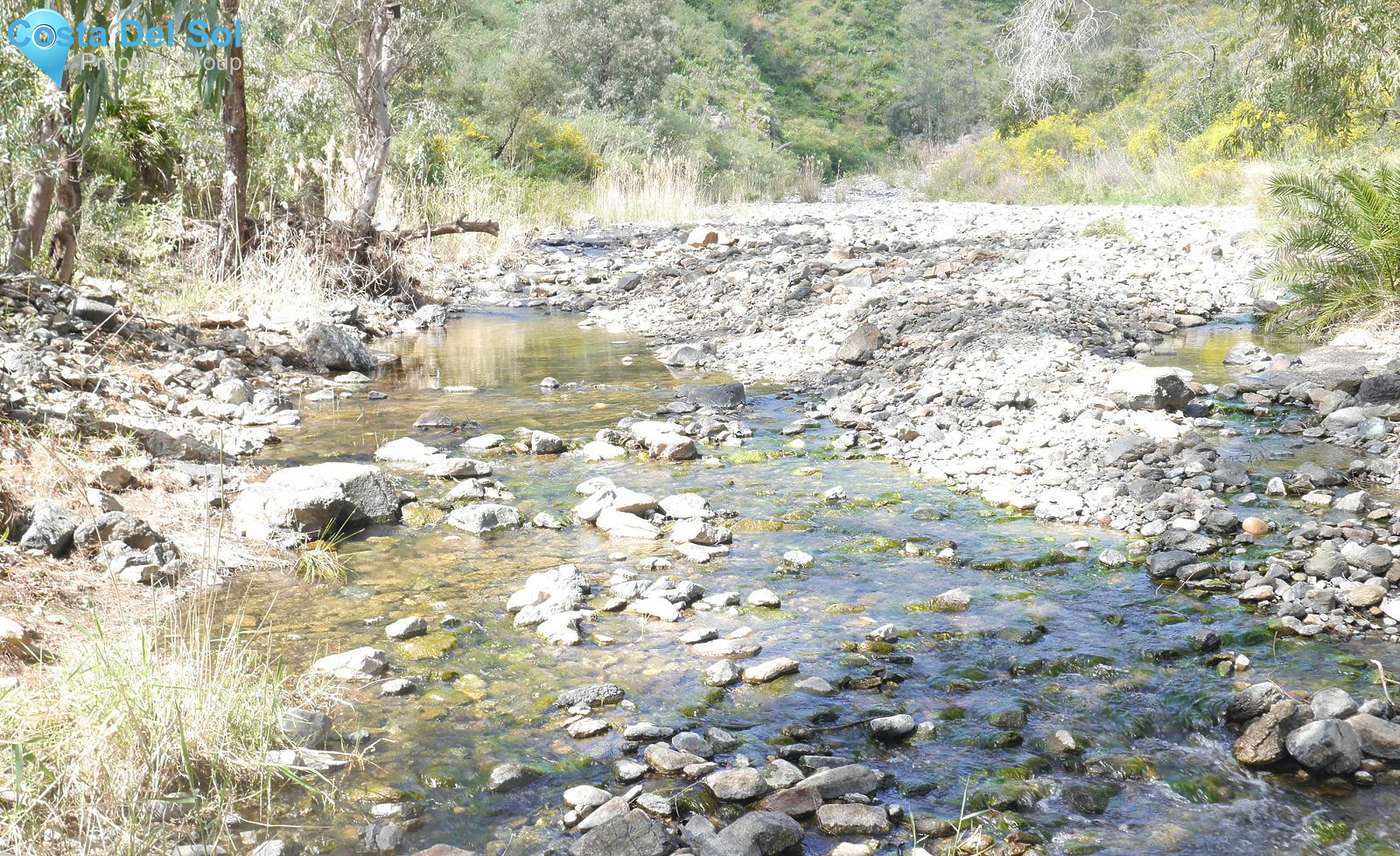Finca - Cortijo in Entrerrios-1232997