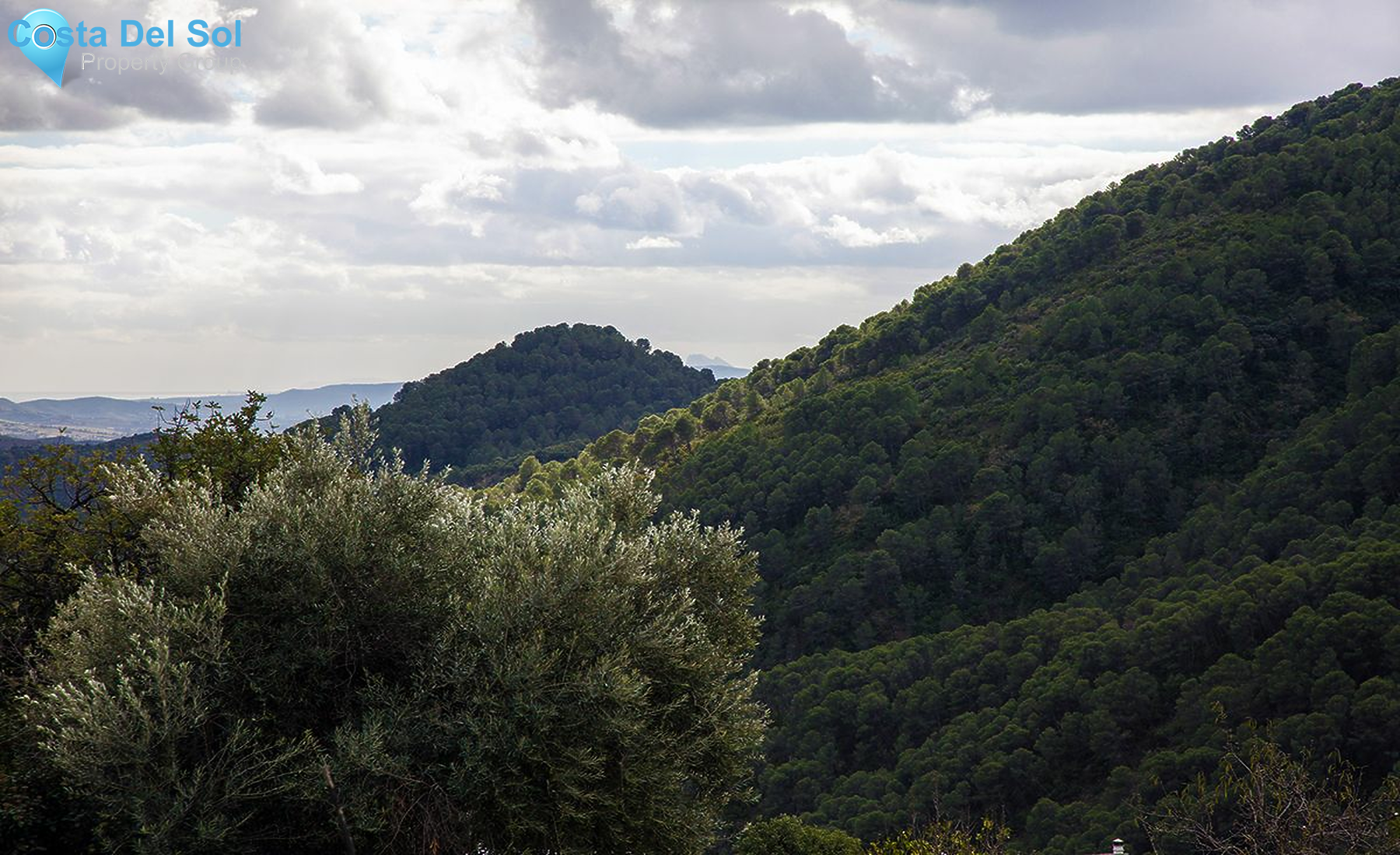 Finca - Cortijo in Gaucín-1515065
