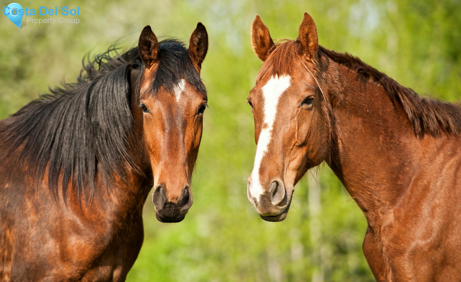 Finca - Cortijo in Mijas Costa-1232065