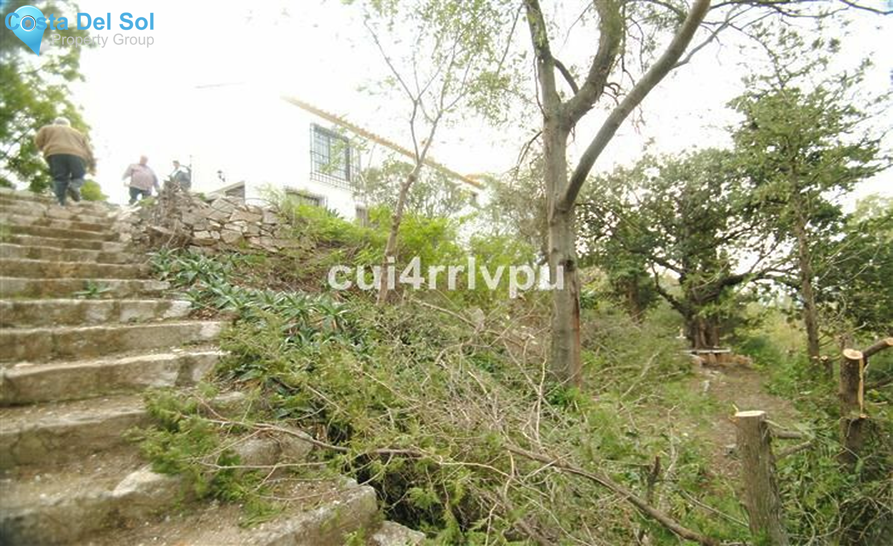 Finca - Cortijo in Mijas-1215741