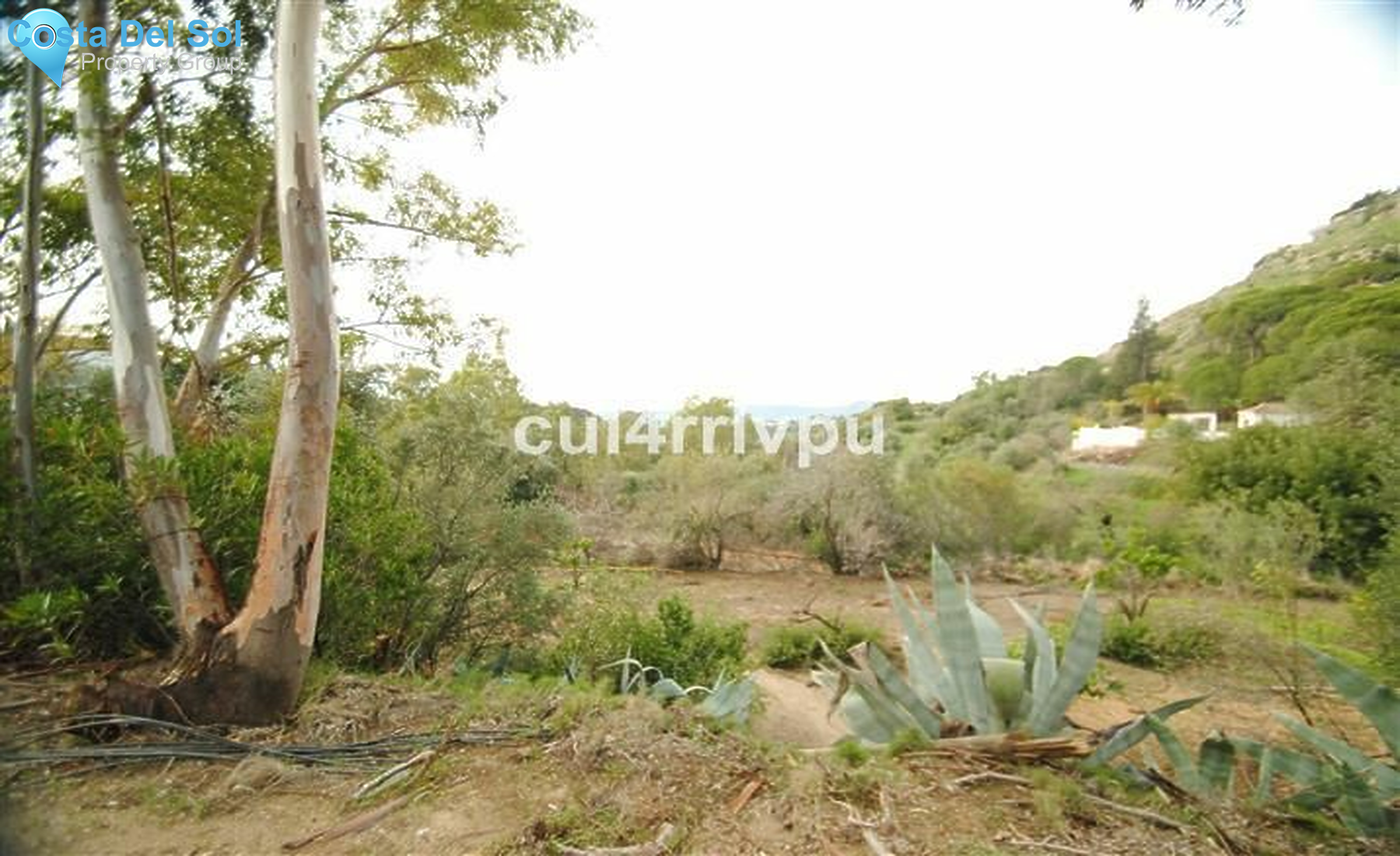 Finca - Cortijo in Mijas-1215743
