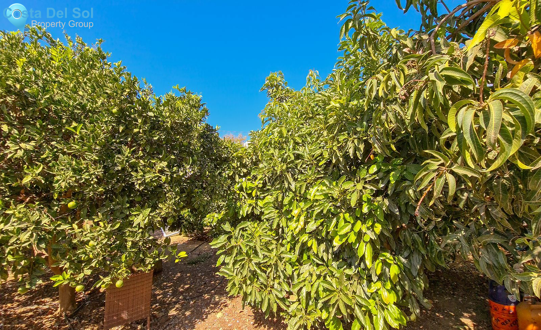 Finca - Cortijo in Mijas-1473426