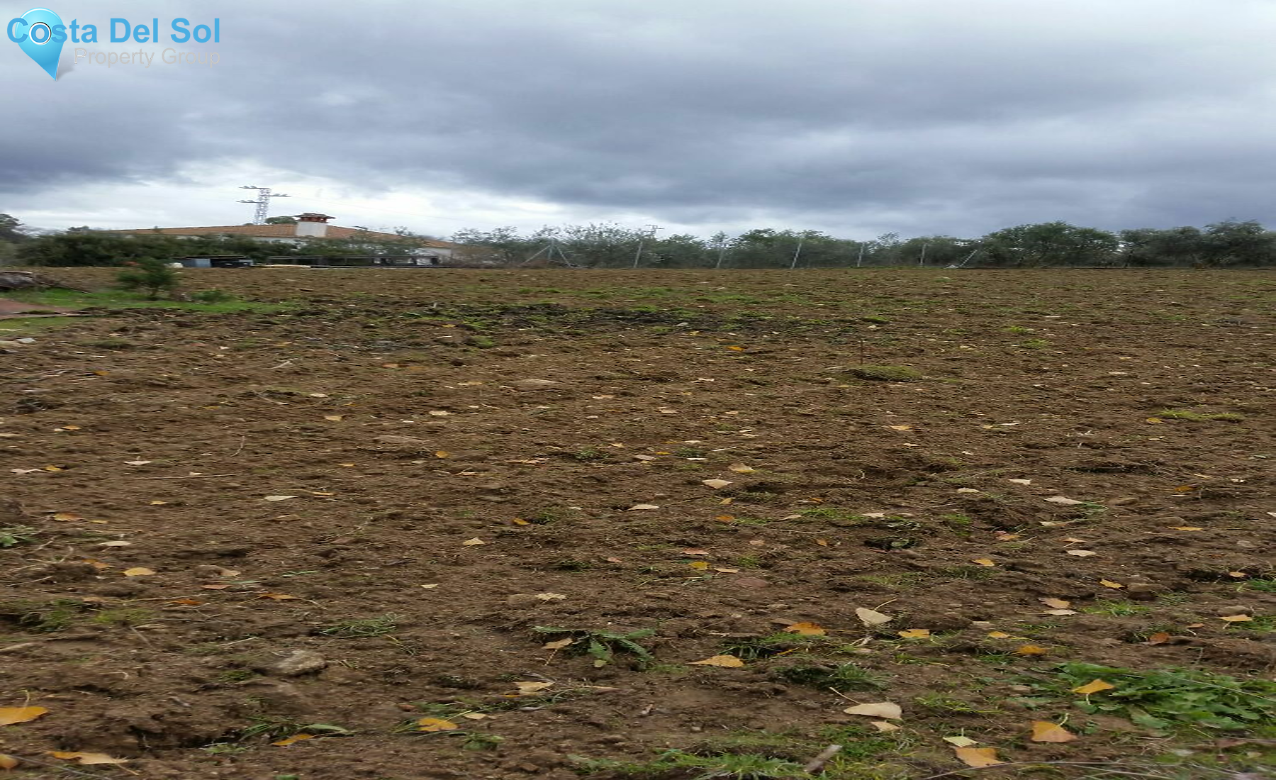 Finca - Cortijo in Ronda-1400487