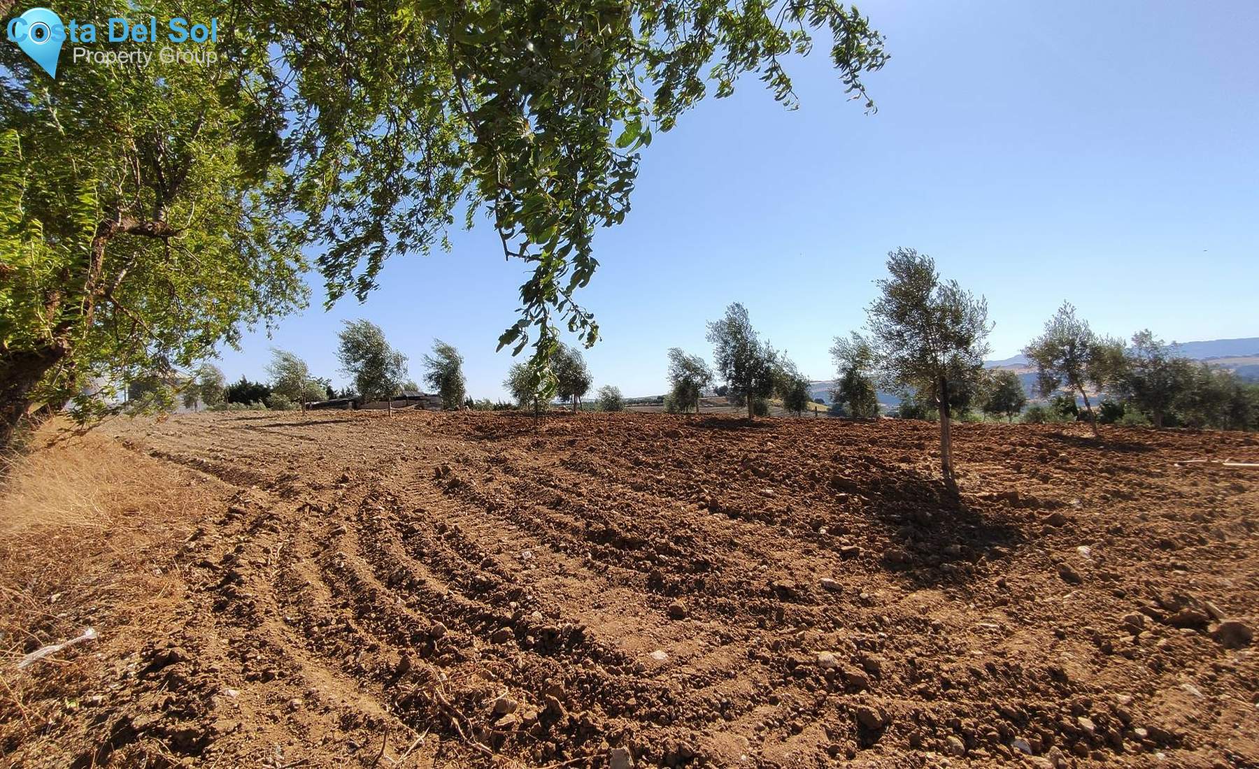 Finca - Cortijo in Ronda-1513495
