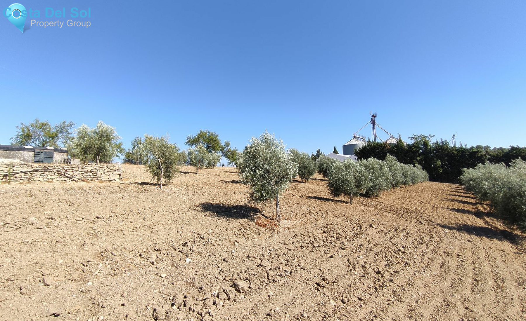 Finca - Cortijo in Ronda-1513499