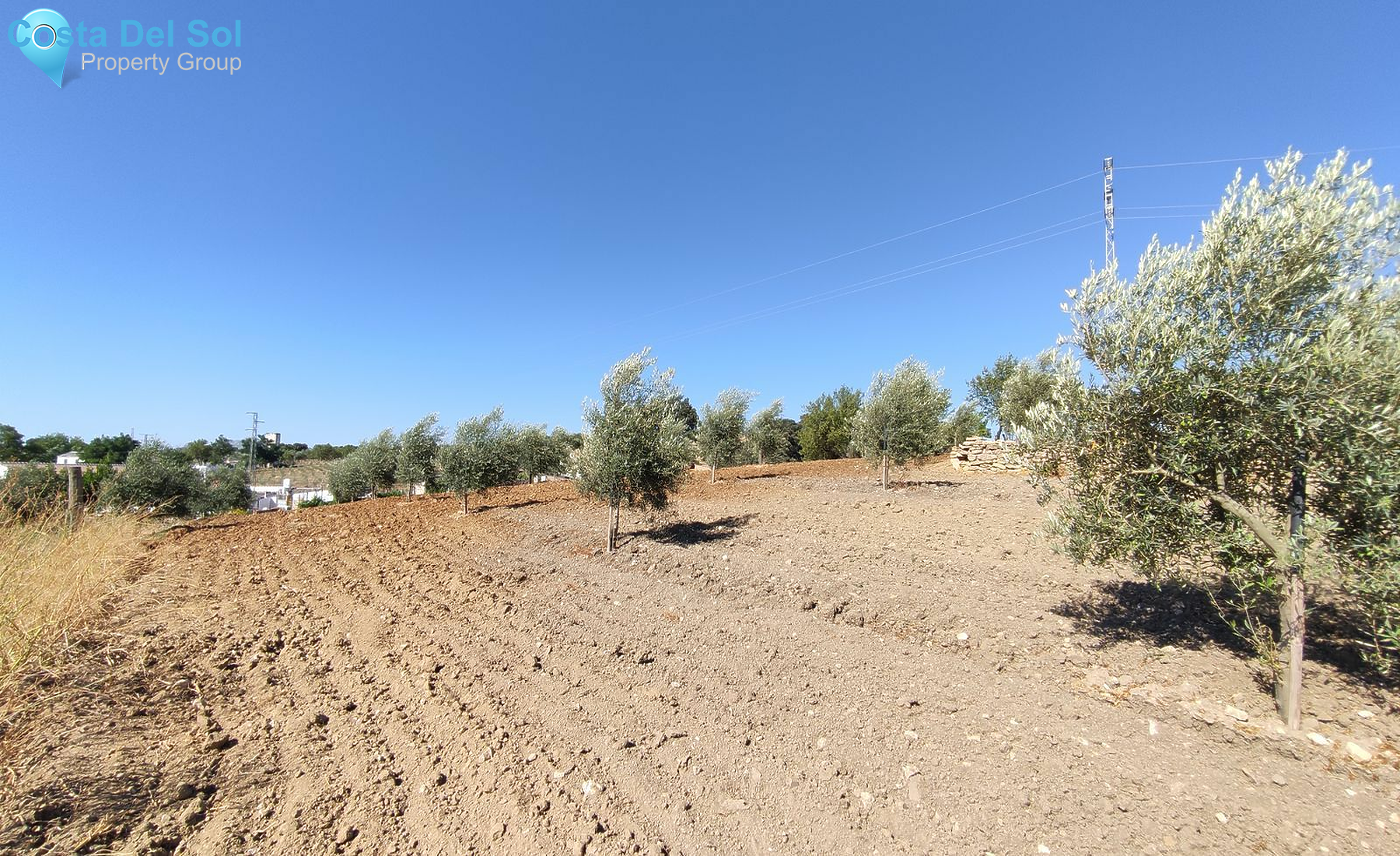 Finca - Cortijo in Ronda-1513500